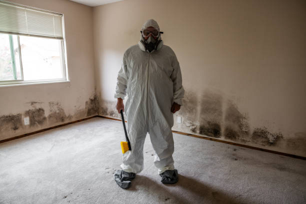 Best Residential Mold Inspection & Testing  in Traverse City, MI